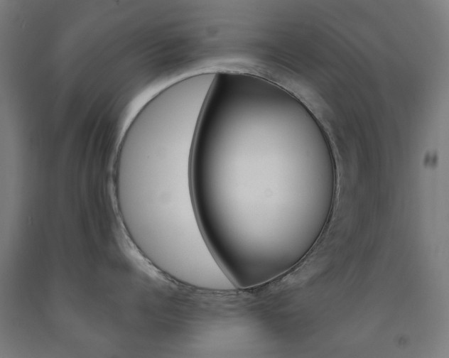 X0000093140960200709261055