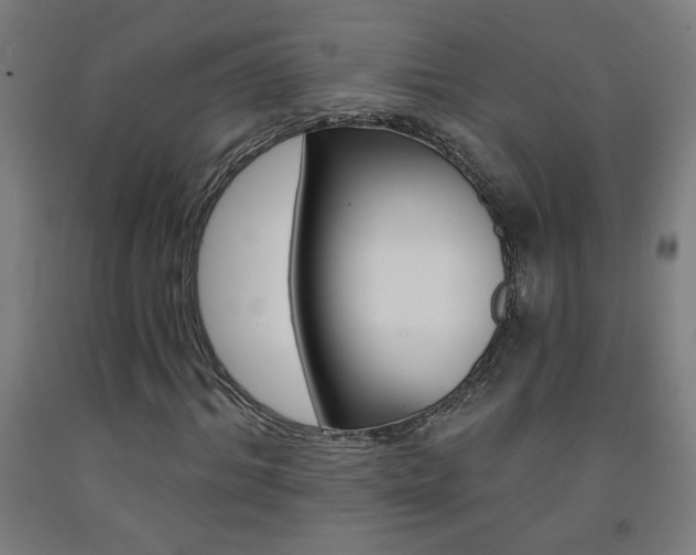 X0000093140964200709261054