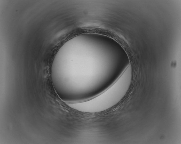 X0000093140965200709261054