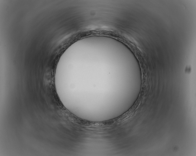 X0000093140966200709261054