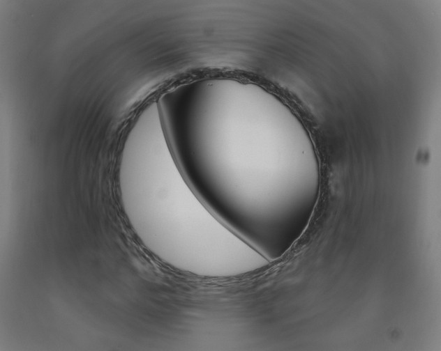X0000093140968200709261054