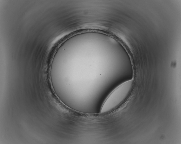 X0000093140971200709261054