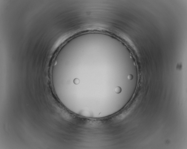 X0000093140978200709261054