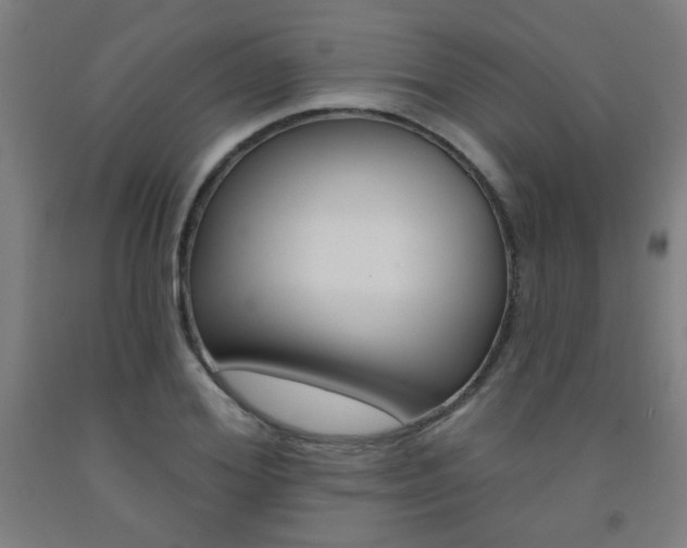 X0000093140980200709261054