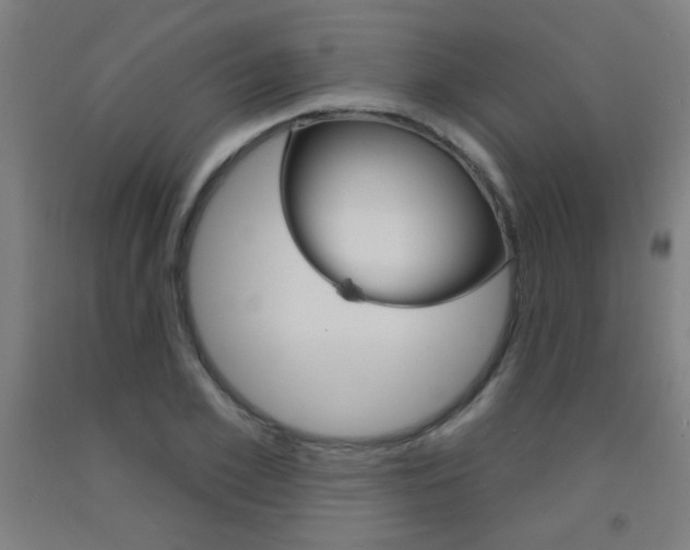 X0000093140981200709261054