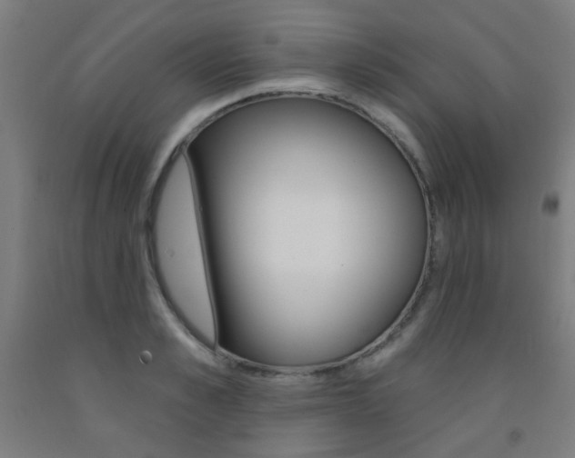 X0000093140989200709261054