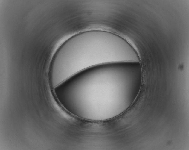 X0000093140995200709261054