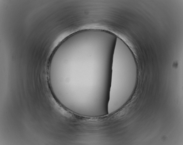 X0000093140998200709261054