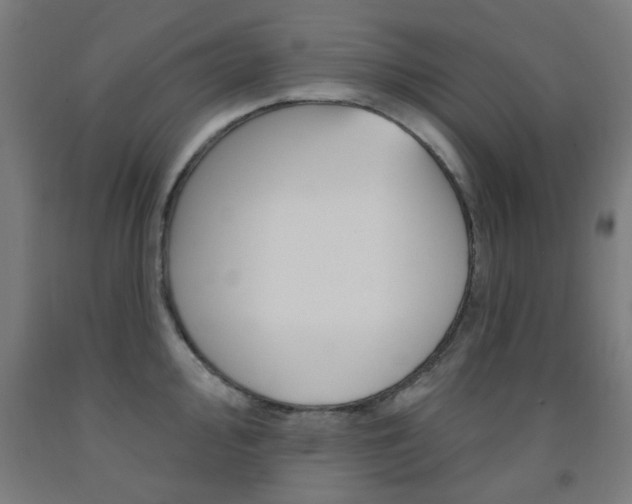 X0000093141000200709261054