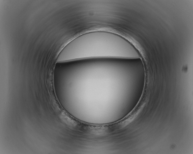 X0000093141001200709261054