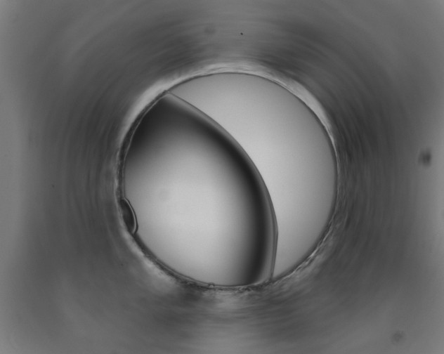 X0000093141005200709261054