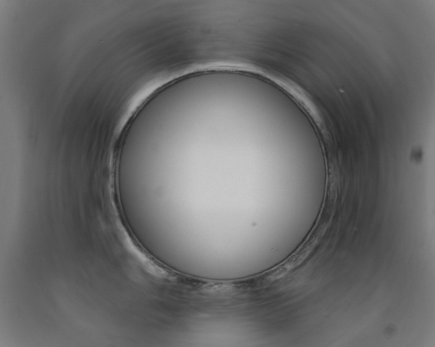 X0000093141006200709261054