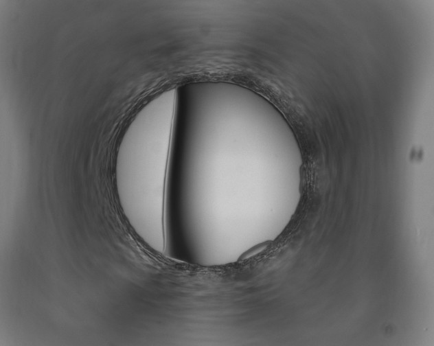 X0000093141009200709261053