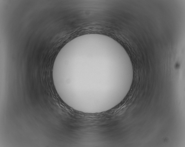 X0000093141010200709261053