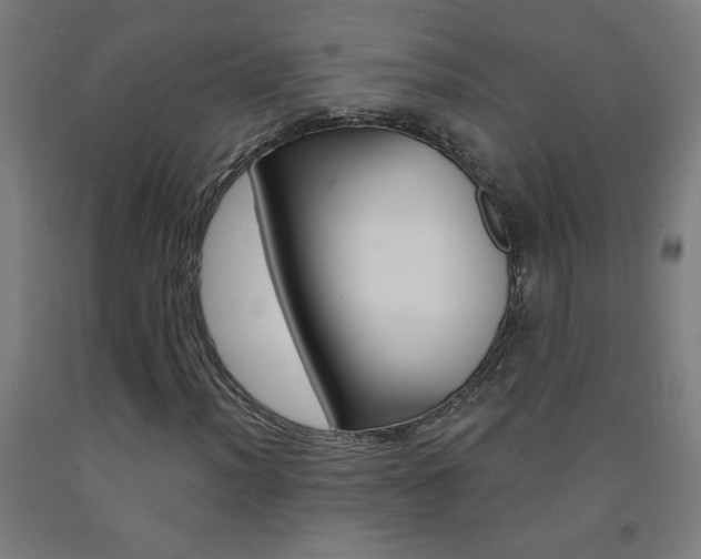 X0000093141012200709261053
