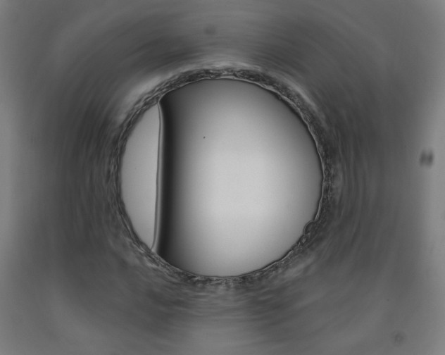 X0000093141016200709261053