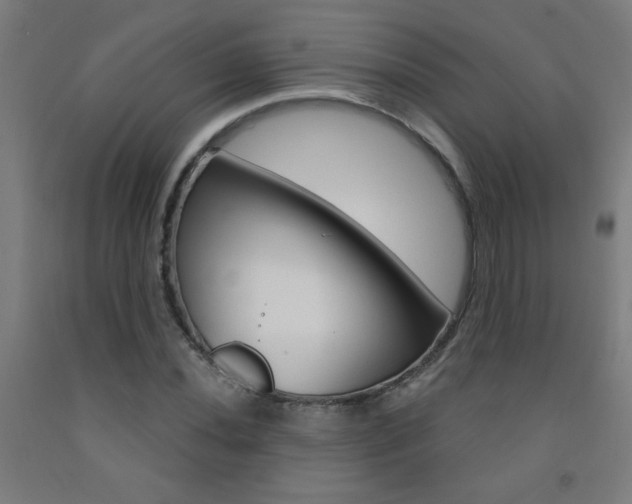 X0000093141020200709261053