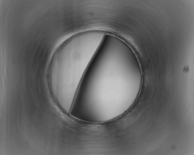 X0000093141024200709261053