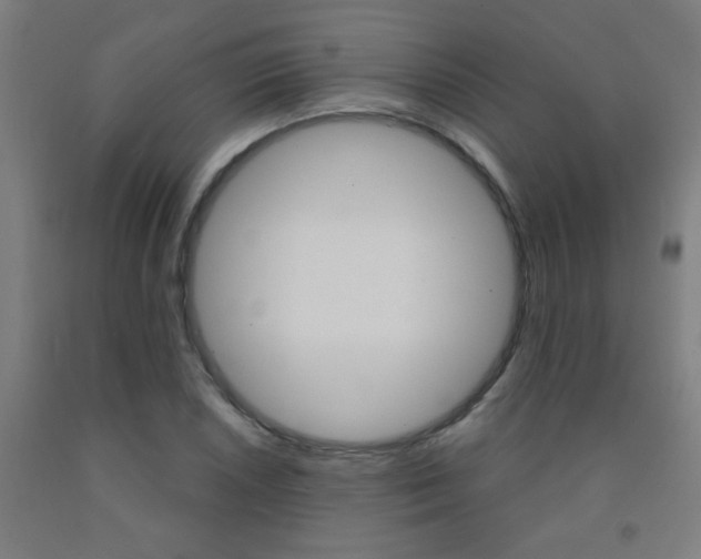 X0000093141026200709261053