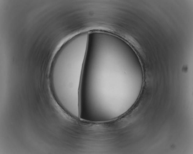 X0000093141028200709261053