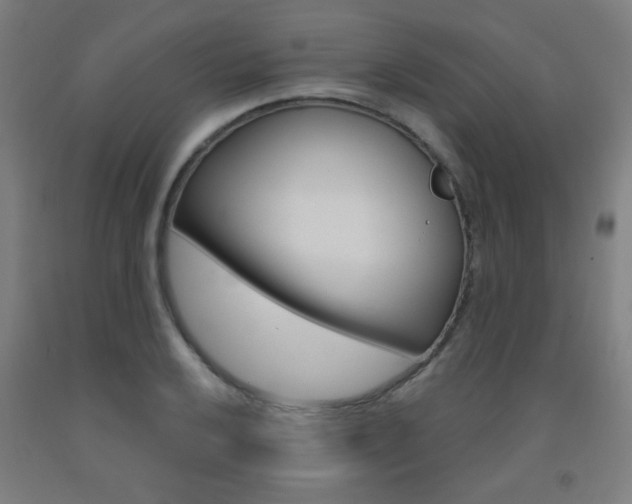 X0000093141032200709261053