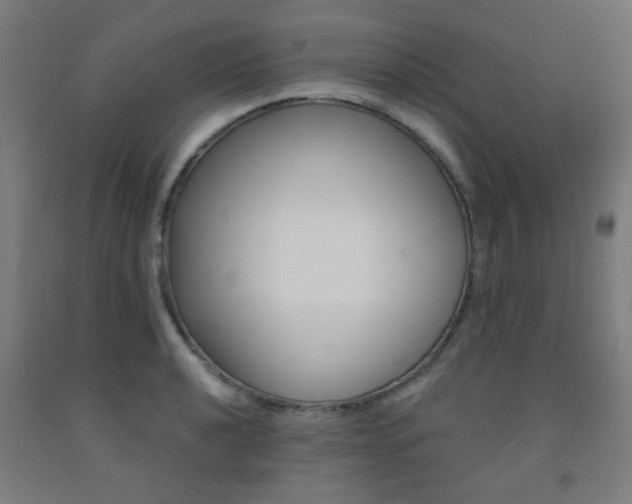 X0000093141040200709261053