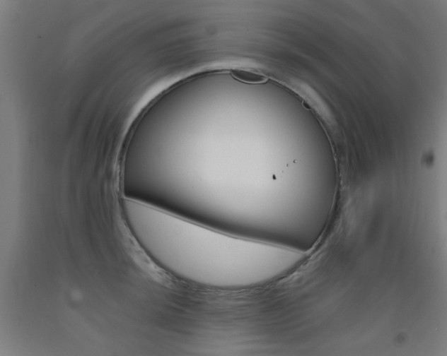 X0000093141044200709261053
