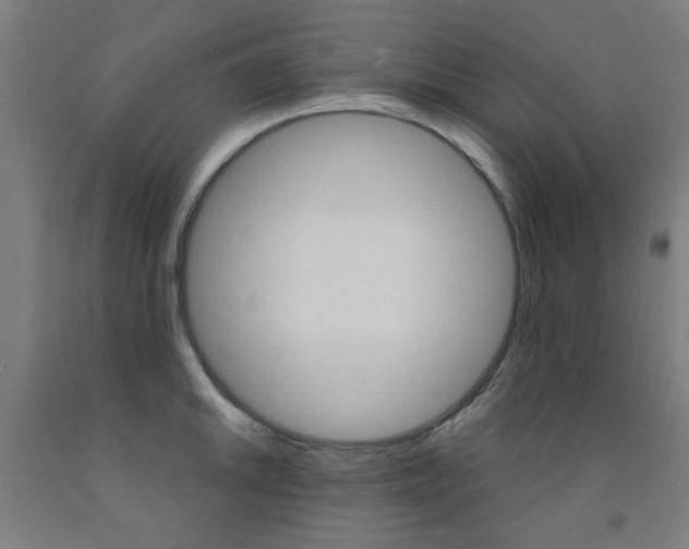 X0000093141046200709261053