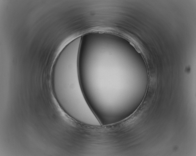 X0000093141050200709261054