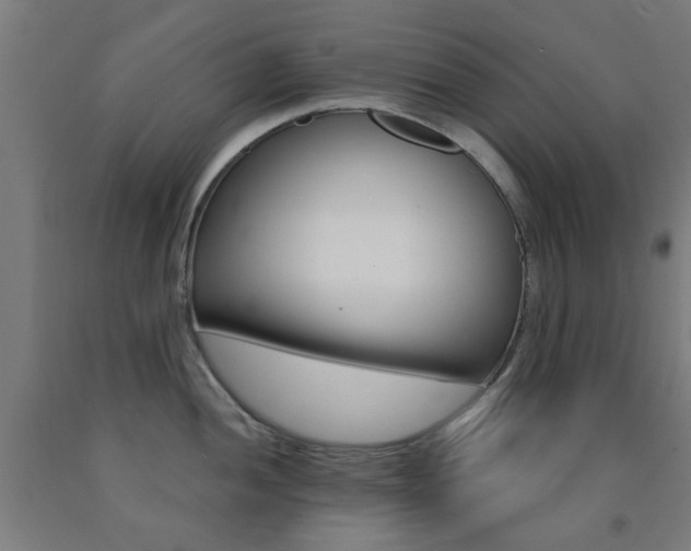 X0000093141052200709261054