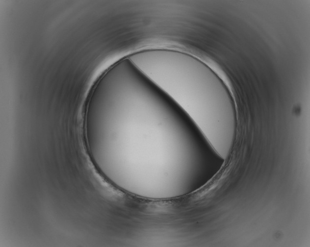 X0000093141053200709261054