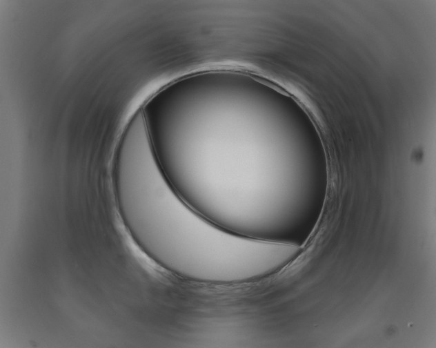 X0000093141054200709261054