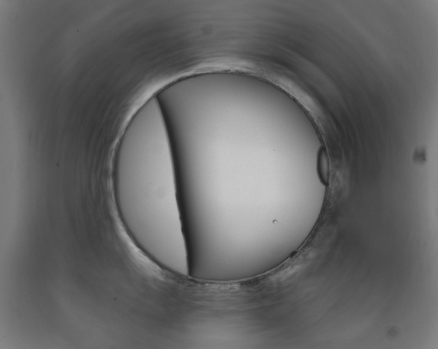 X0000093141055200709261054