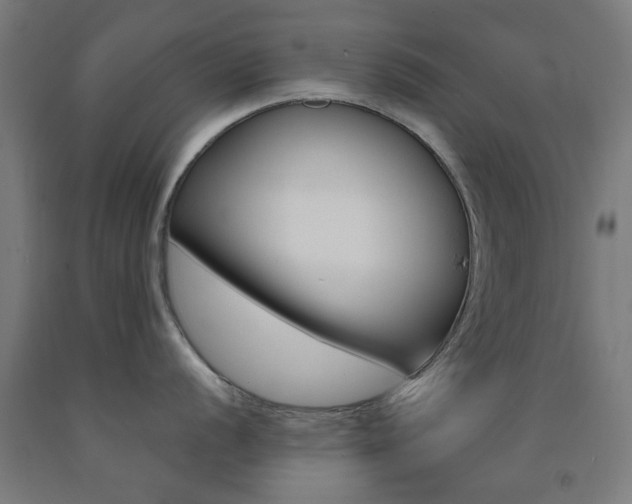X0000093141056200709261054
