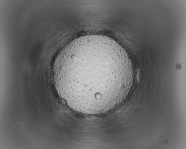 X0000093141059200709261053