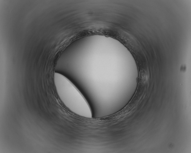X0000093141060200709261053