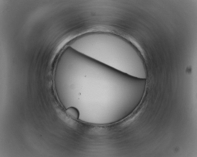 X0000093141075200709261053