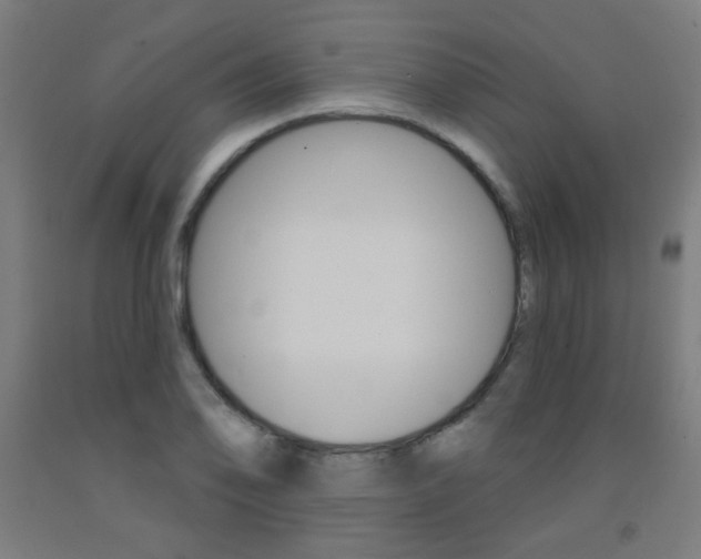 X0000093141078200709261053