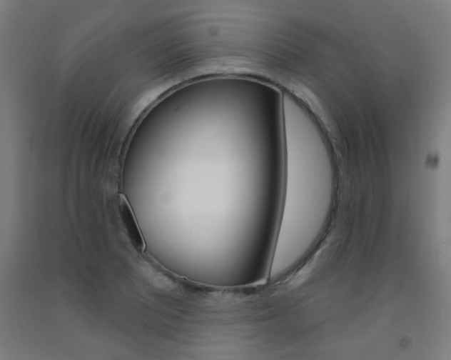 X0000093141081200709261053