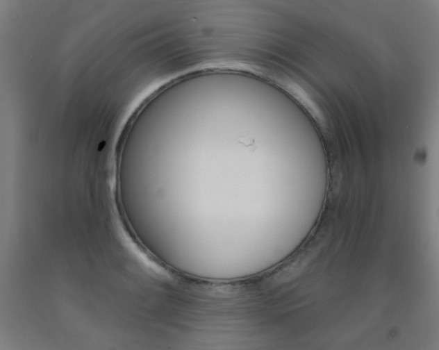 X0000093141084200709261053