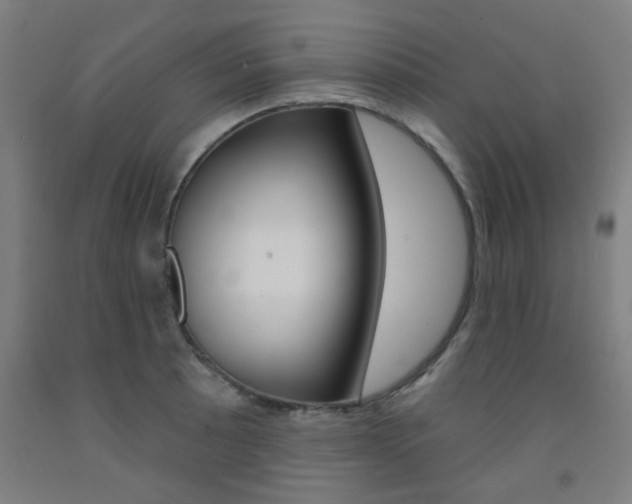 X0000093141089200709261053