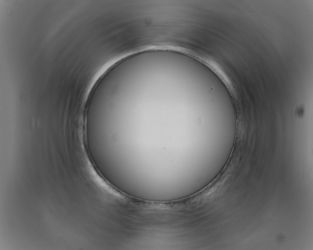 X0000093141100200709261052