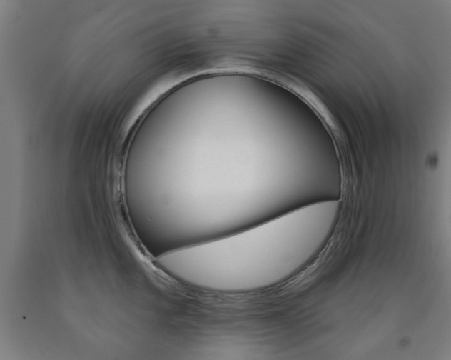 X0000093141101200709261052