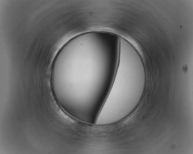 X0000093141102200709261052
