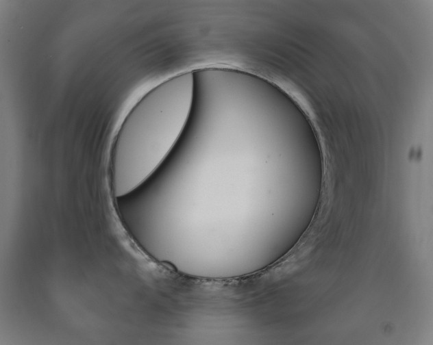 X0000093141104200709261052