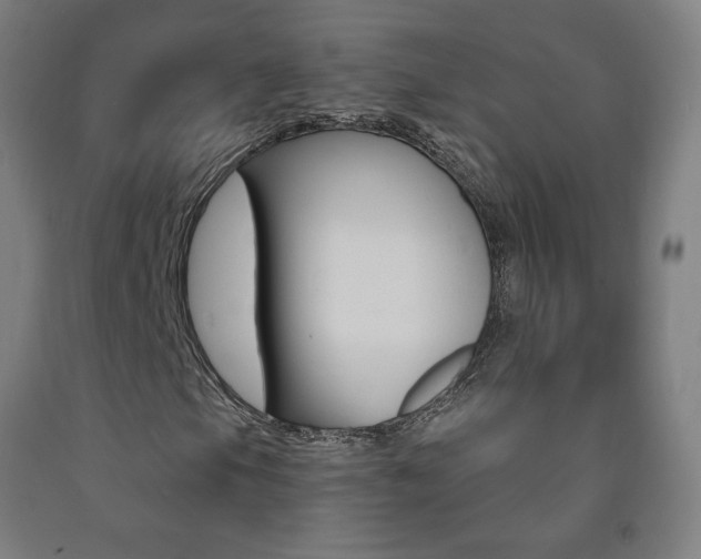 X0000093141105200709261052