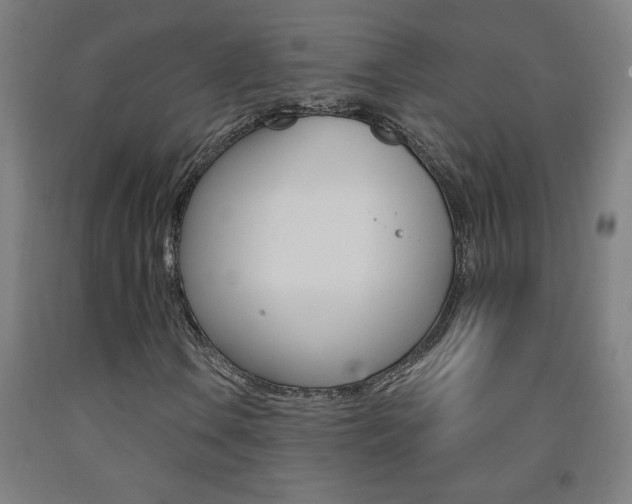 X0000093141106200709261052