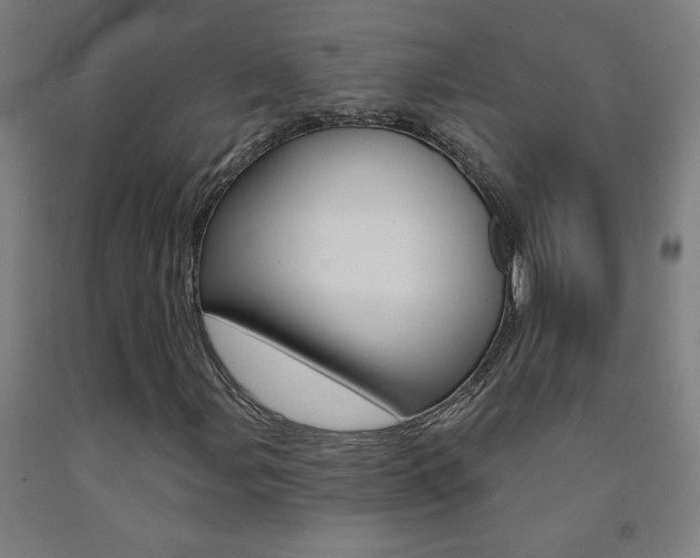 X0000093141107200709261052