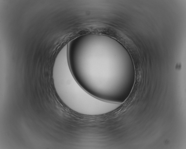 X0000093141108200709261052