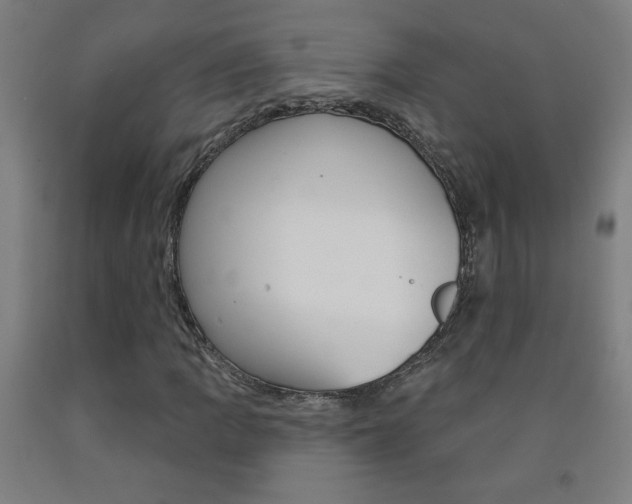X0000093141109200709261052
